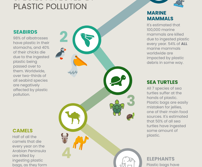 5 Species Effected by Plastic