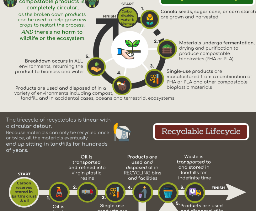 Compostable vs. Recyclable Lifecycle