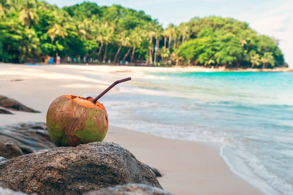 Biodegradable straw manufactured to decompose in the ocean sustainably