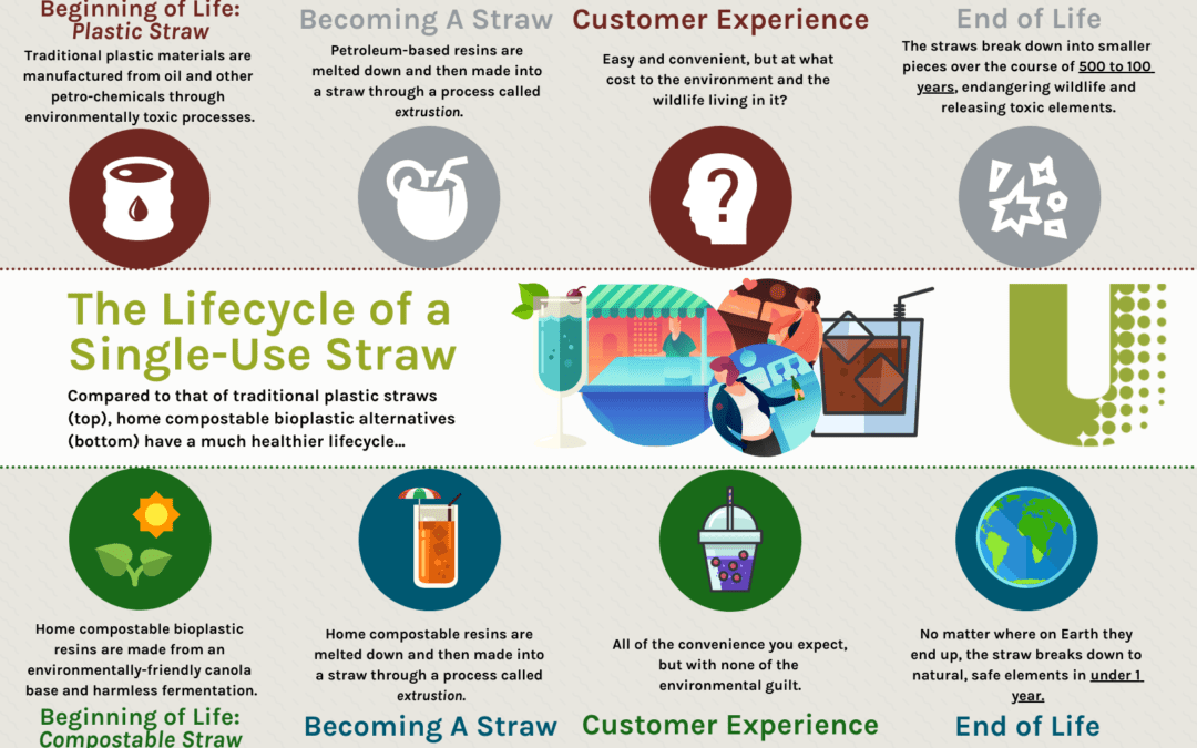 Lifecycle of Home Compostable Straw vs. Plastic Straw