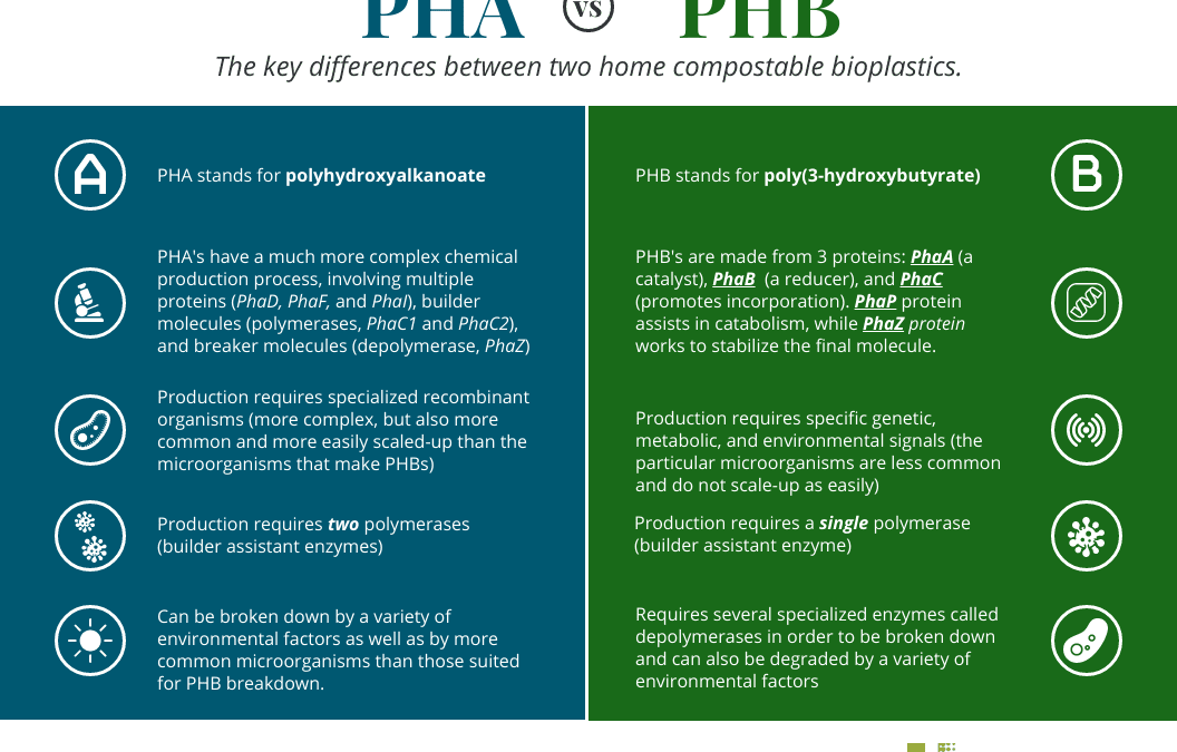 PHA vs. PHB