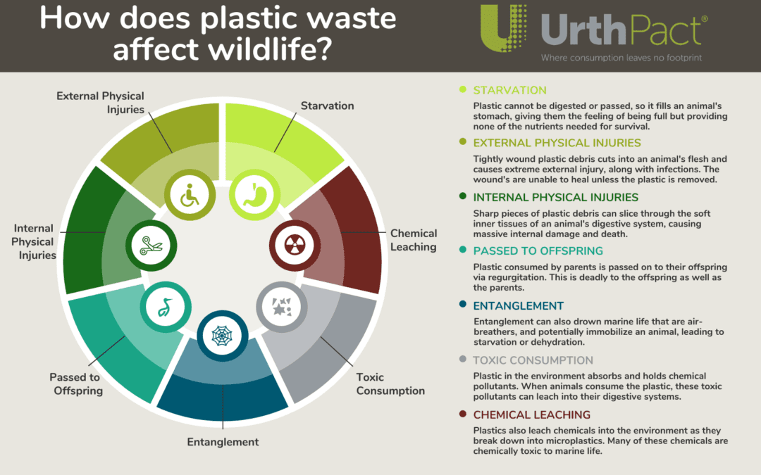 Physical & Chemical Effects of Plastic Pollution