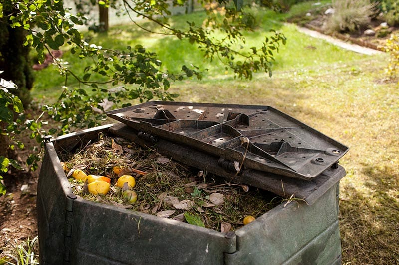 Compost 101: The What, The How, and The Why