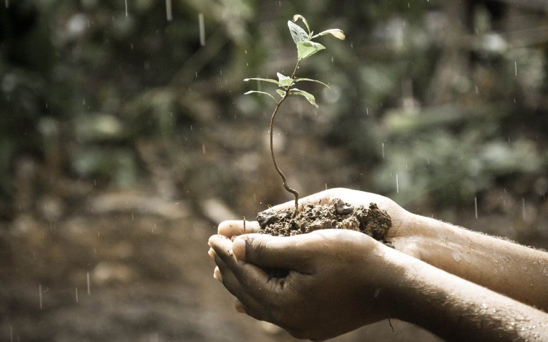 How Different Methods of Compost Benefit a Sustainable Future