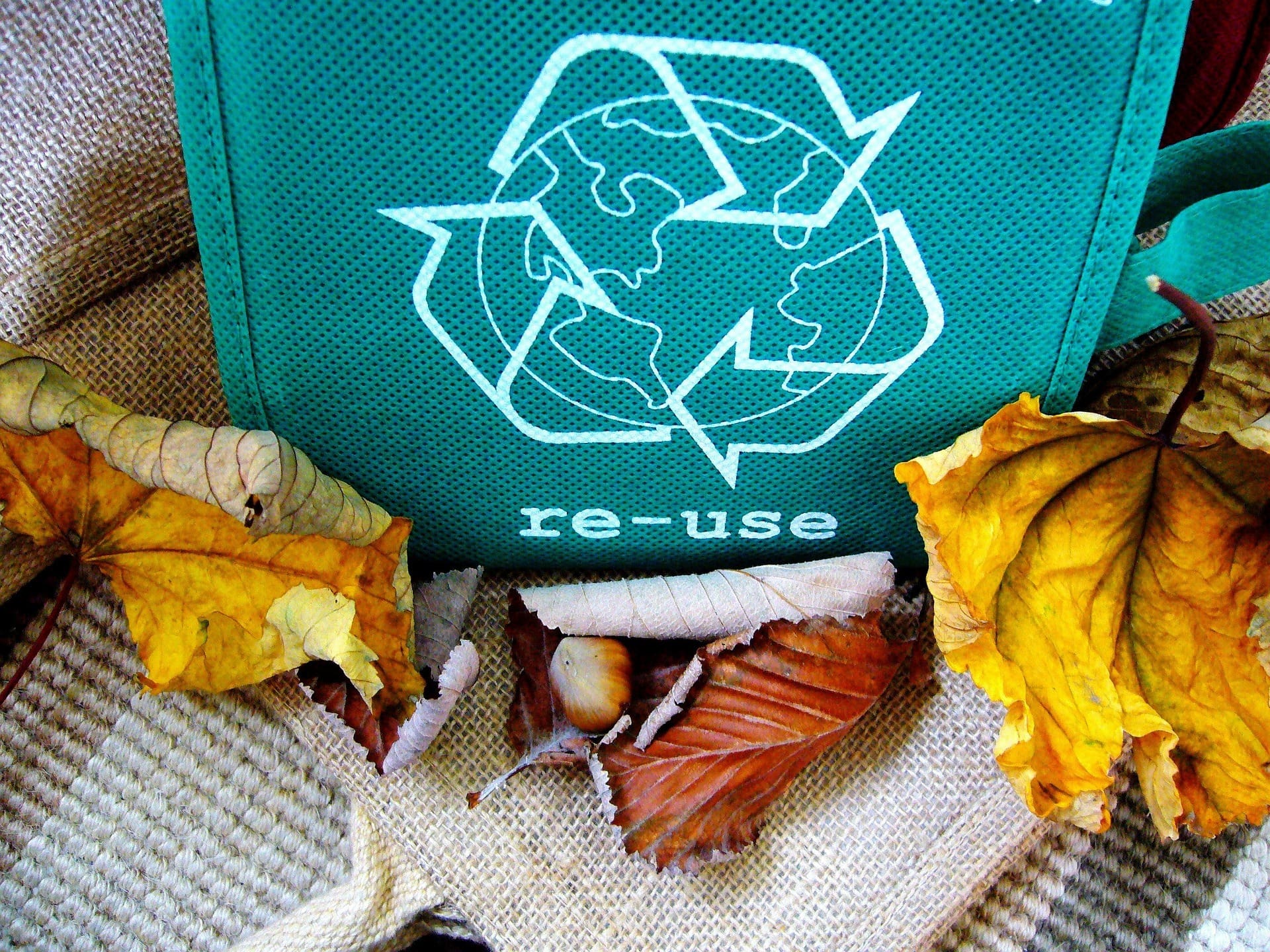 Bioplastics Vs. Recycling: Which Can Solve Our Plastic Problem?